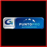 Punto Pro